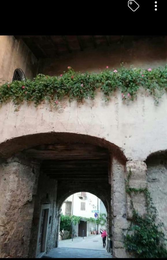 Appartamento Orchidea Montemerano Extérieur photo