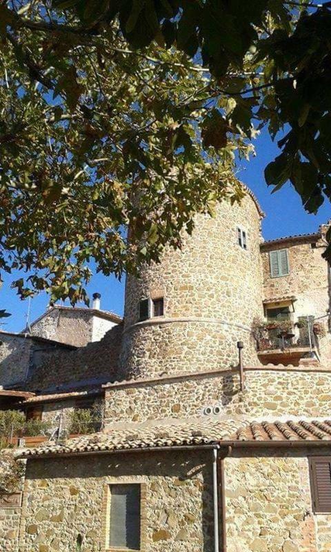 Appartamento Orchidea Montemerano Extérieur photo