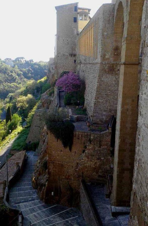 Appartamento Orchidea Montemerano Extérieur photo